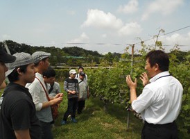 WPまやのブログ20160612