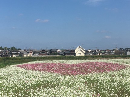 WPにしのブログphoto20161021