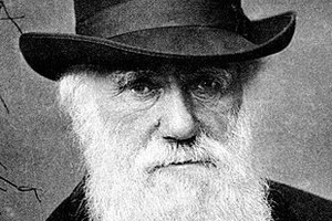 words_of_Darwin.jpg.pagespeed.ce.DKhMknrm11