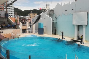 WPかすがの blog photo 20190621-3