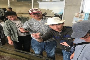 WPまや Blog photo 20191114